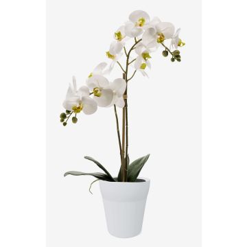 Konstgjord orkidé Phalaenopsis CANDIDA i keramikkruka, vit, 65cm