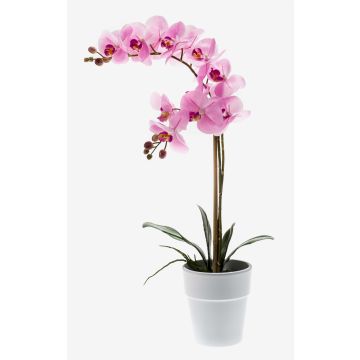 Konstgjord orkidé Phalaenopsis CANDIDA i keramikkruka, rosa, 65cm