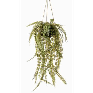Konstfarn, kvinnohårfarn, hängande blomkruka SAMIEL, grön, 95cm, Ø55cm Konstfarn, kvinnohårfarn, hängande blomkruka SAMIEL, grön, 95cm, Ø55cm