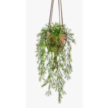 Konstgjord Asparagus sprengeri hängande blomsterkorg SILIJA, terrakottakruka, 75cm