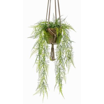Konstgjord Asparagus plumosus hängande blomsterkruka SILIJA, terrakottakruka, 80cm