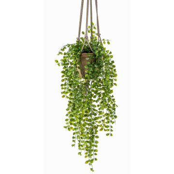 Konstgjord klätterfikon i hängkruka SILIJA, terrakottakruka, grön, 80cm Konstgjord klätterfikon i hängkruka SILIJA, terrakottakruka, grön, 80cm