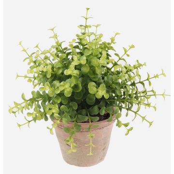 Konstgjorda örter Eukalyptus LUCANO i terrakottakruka, grön, 20cm, Ø20cm