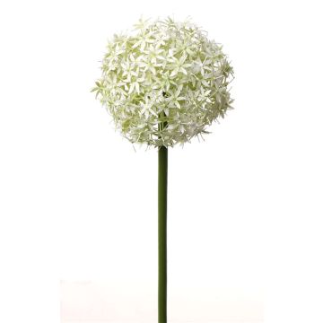Konstgjord allium SAMARA, vit-grön, 75cm, Ø12cm Konstgjord allium SAMARA, vit-grön, 75cm, Ø12cm