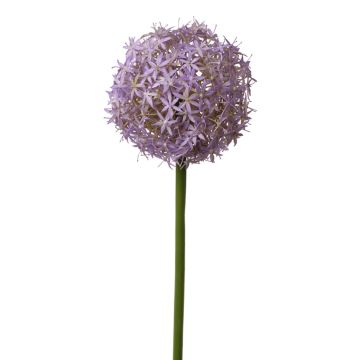 Konstgjord allium SAMARA, lila, 75cm, Ø12cm Konstgjord allium SAMARA, lila, 75cm, Ø12cm