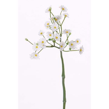 Konstgjord prästkrage BELINA, vit, 30cm, Ø1-1,5cm Konstgjord prästkrage BELINA, vit, 30cm, Ø1-1,5cm
