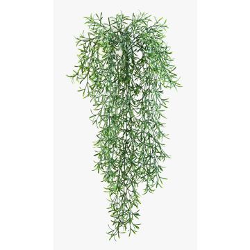 Konstgjord Asparagus sprengeri-hängare CAMILLA, på pinne, 70cm Konstgjord Asparagus sprengeri-hängare CAMILLA, på pinne, 70cm
