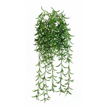 Konstgjord Rhipsalis-hängare KLEMENIS på stickpinne, grön, 45cm Konstgjord Rhipsalis-hängare KLEMENIS på stickpinne, grön, 45cm