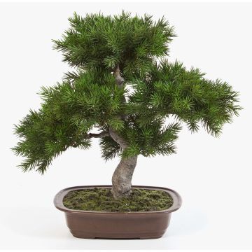 Konstgjord bonsai-tall SELENA i bonsaiskål, 50cm