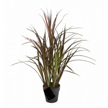 Konstgjort vassgräs HANNI, grönt-rött, 75cm