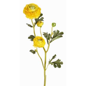 Konstgjord ranunkelgren NOEMIE, gul, 65cm, Ø4-8cm Konstgjord ranunkelgren NOEMIE, gul, 65cm, Ø4-8cm