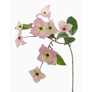 Konstgjord kvist av japansk kornell KOHANA med blommor, rosa-krämfärgad, 65cm, Ø4-8cm