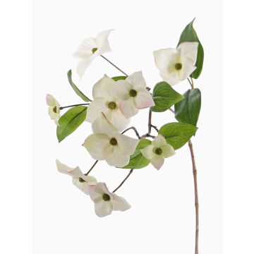 Konstgjord gren av japansk kornell KOHANA med blommor, krämfärgad, 65cm, Ø4-8cm Konstgjord gren av japansk kornell KOHANA med blommor, krämfärgad, 65cm, Ø4-8cm