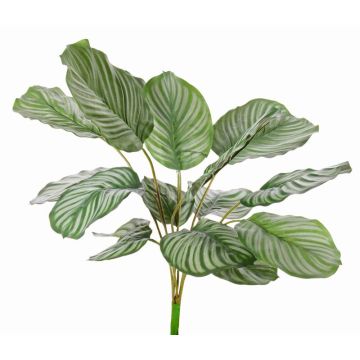 Konstgjord Calathea Orbifolia ZAIDA på stödpinne, grön, 75cm