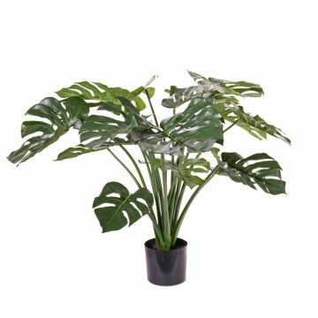 Konstväxt Philodendron Monstera Deliciosa ARELA, 85cm