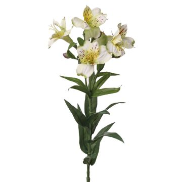 Dekorativ kvist Inkalilie AUBERTA, vit-grön-röd, 75cm, Ø6cm Dekorativ kvist Inkalilie AUBERTA, vit-grön-röd, 75cm, Ø6cm