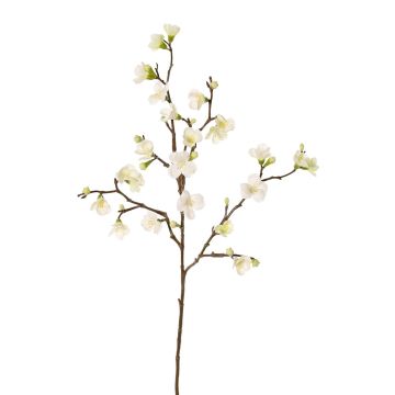 Konstgjord äppelblomkvist SADAKA med blommor, krämfärgad, 70cm, Ø3-4cm