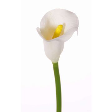 Konstblomma Calla CHIDORA, vit, 55cm, 4,5x5,5cm Konstblomma Calla CHIDORA, vit, 55cm, 4,5x5,5cm