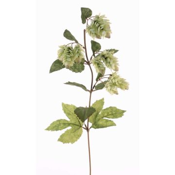 Konstgjord humlegren AXEL med blommor, ljusgrön, 75cm, Ø3cm Konstgjord humlegren AXEL med blommor, ljusgrön, 75cm, Ø3cm