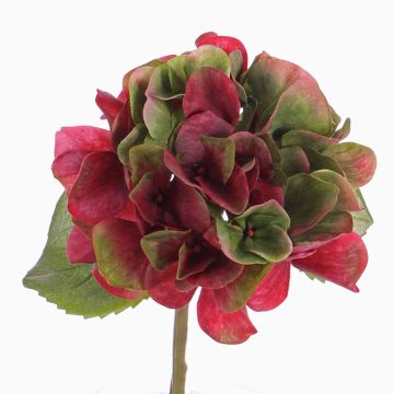 Konstgjord hortensia CHIDORI, röd-grön, 30cm, Ø13cm Konstgjord hortensia CHIDORI, röd-grön, 30cm, Ø13cm