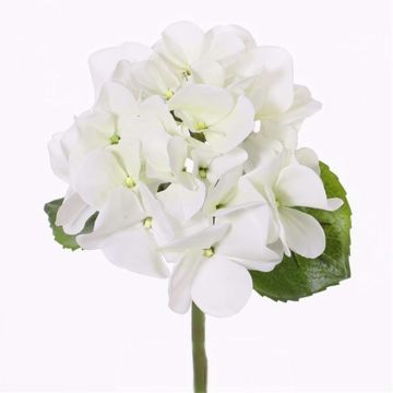 Konstgjord hortensia CHIDORI, vit-grön, 30cm, Ø13cm Konstgjord hortensia CHIDORI, vit-grön, 30cm, Ø13cm