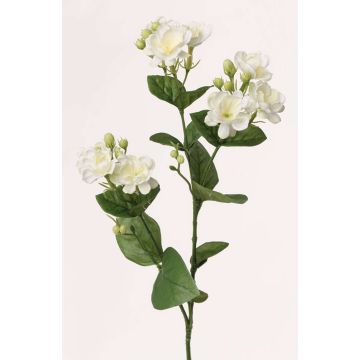 Konstgjord jasminkvist SINJA, vit-grön, 60cm, Ø4cm Konstgjord jasminkvist SINJA, vit-grön, 60cm, Ø4cm