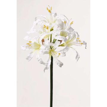 Konstgjord trädgårdsamaryllis MONJA, vit, 70cm, Ø12cm Konstgjord trädgårdsamaryllis MONJA, vit, 70cm, Ø12cm