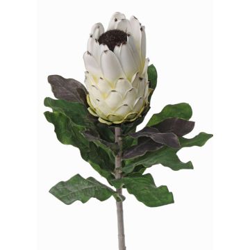 Konstgjord protea NELLI, vit-gul, 75cm, Ø8cm Konstgjord protea NELLI, vit-gul, 75cm, Ø8cm