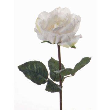 Textilblomma ros JESSY, krämfärgad, 35cm, Ø11cm Textilblomma ros JESSY, krämfärgad, 35cm, Ø11cm