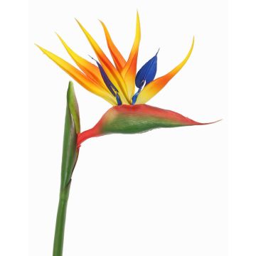Konstgjord papegojblomma LATIFA, orange-violett, 90cm, 17x20cm Konstgjord papegojblomma LATIFA, orange-violett, 90cm, 17x20cm
