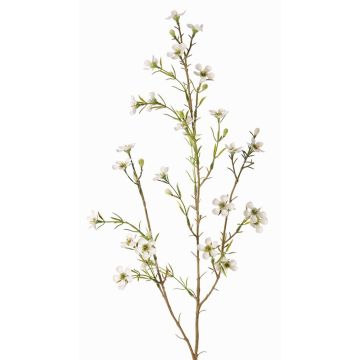 Konstgjord vaxblomma NIANG, krämfärgad, 80cm, Ø1,5-2,5cm Konstgjord vaxblomma NIANG, krämfärgad, 80cm, Ø1,5-2,5cm