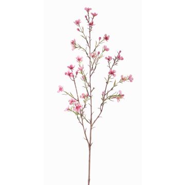 Konstgjord vaxblomma NIANG, rosa-cerise, 80cm, Ø1,5-2,5cm Konstgjord vaxblomma NIANG, rosa-cerise, 80cm, Ø1,5-2,5cm