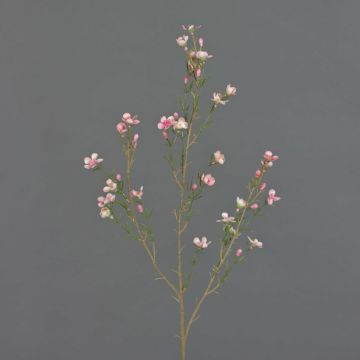 Konstgjord vaxblomma NIANG, rosa-cerise, 80cm, Ø1,5-2,5cm Konstgjord vaxblomma NIANG, rosa-cerise, 80cm, Ø1,5-2,5cm