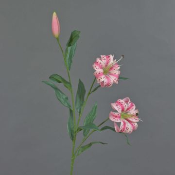 Konstgjord gren med turkisk lilja DANBI, cerise-rosa, 85cm, Ø9cm Konstgjord gren med turkisk lilja DANBI, cerise-rosa, 85cm, Ø9cm