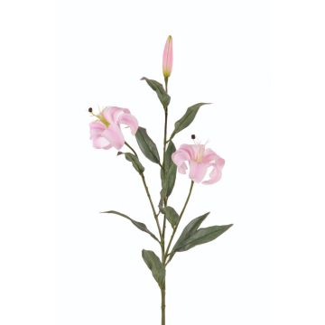 Konstgjord gren av turkisk lilja DANBI, ljusrosa, 85cm, Ø9cm Konstgjord gren av turkisk lilja DANBI, ljusrosa, 85cm, Ø9cm