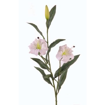 Konstgjord gren med turkisk lilja DANBI, vit-grön, 85cm, Ø9cm