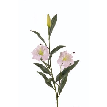 Konstgjord gren med turkisk lilja DANBI, vit-grön, 85cm, Ø9cm Konstgjord gren med turkisk lilja DANBI, vit-grön, 85cm, Ø9cm