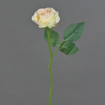 Konstgjord ros GABI, krämrosa, 30cm, Ø6cm Konstgjord ros GABI, krämrosa, 30cm, Ø6cm