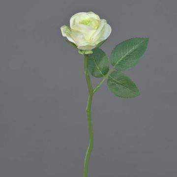 Konstgjord ros GABI, krämgrön, 30cm, Ø6cm