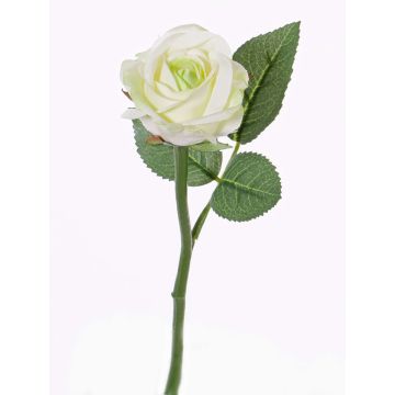 Konstgjord ros GABI, krämgrön, 30cm, Ø6cm Konstgjord ros GABI, krämgrön, 30cm, Ø6cm