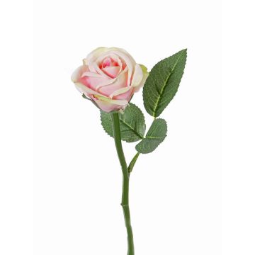 Konstgjord ros GABI, rosa-grön, 30cm, Ø6cm