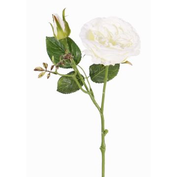 Konstgjord gren av kålros JUDY, krämfärgad, 40cm, Ø9cm Konstgjord gren av kålros JUDY, krämfärgad, 40cm, Ø9cm