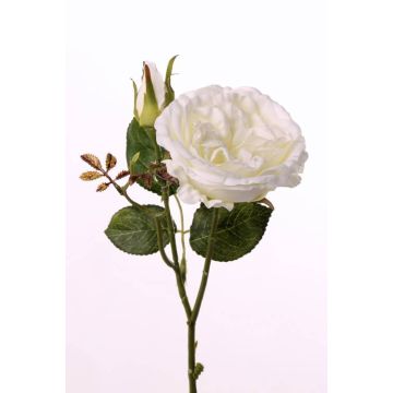 Konstgjord gren av kålros JUDY, krämfärgad, 40cm, Ø9cm Konstgjord gren av kålros JUDY, krämfärgad, 40cm, Ø9cm