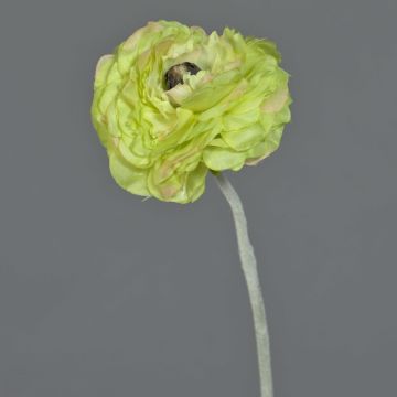 Konstgjord ranunkel ALIMA, grön, 35cm, Ø8cm