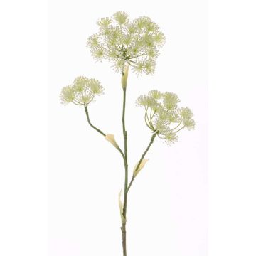 Konstgjord blomma, björnklöver ABDEROS, krämfärgad, 105cm, Ø12-20cm
