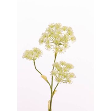 Konstgjord blomma, björnklöver ABDEROS, krämfärgad, 105cm, Ø12-20cm Konstgjord blomma, björnklöver ABDEROS, krämfärgad, 105cm, Ø12-20cm