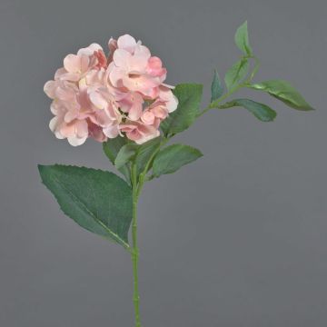 Konstgjord hortensia ASUKA, rosa, 80cm, Ø15cm Konstgjord hortensia ASUKA, rosa, 80cm, Ø15cm