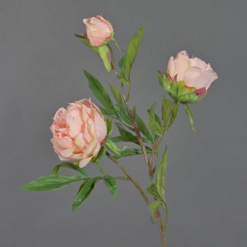 Konstgjord pionkvist MANJA, rosa, 70cm, Ø8-10cm