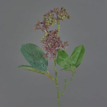 Konstgjord laurbärsnöbollskvist LAZAROS, lila-grön, 35cm, Ø5cm Konstgjord laurbärsnöbollskvist LAZAROS, lila-grön, 35cm, Ø5cm