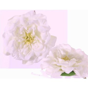 Konstgjord rosblomma SASKIA, flytande, krämfärgad, 5cm, Ø15cm